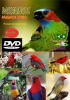 DVD 09 - P�ssaros Livres - Sons P�ssaros Brasil